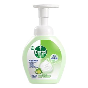 滴露玻尿酸泡沫洗手液250ml