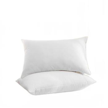 洁丽雅grace 羽丝绒对枕 （一对） JLY-YH662