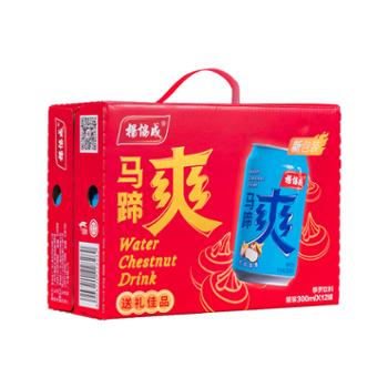 杨协成 罐装300ml COOL马蹄爽 (1*12) 1箱