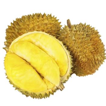 渝橙源江 包4房 软糯新鲜金枕榴莲 单果净重4-10斤/箱 顺丰发货