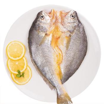 摩时渔鱼 免洗调味脱脂黄鱼鲞 350g*2包