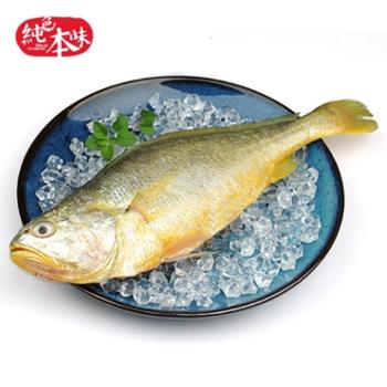 纯色本味 地标认证舟山本港大黄鱼 1kg(250g*4条)