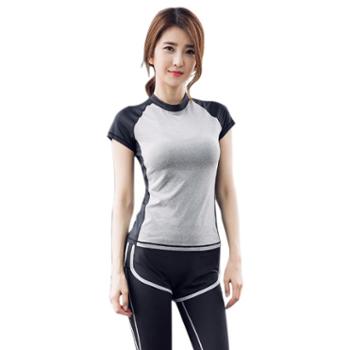 派衣阁韩版运动健身服女夏季跑步瑜伽服两件套户外速干衣短袖套装T1037