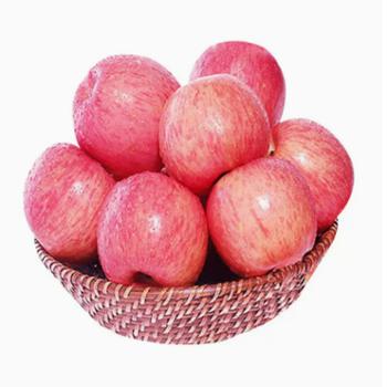 瓜疯来袭&nbsp;陕西洛川红富士特大果&nbsp;4.5-5斤