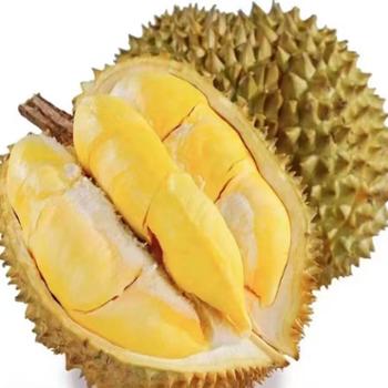 禧柿纪 金枕鲜果榴莲 4-10斤 规格可选保4房