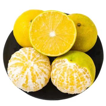 浙神禾&nbsp;广西武鸣皇帝柑&nbsp;3斤/5斤/9斤