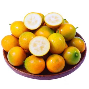 浙神禾 脆皮金桔 2斤/3斤/5斤