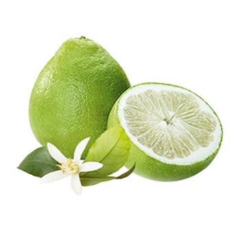 十八道农特&nbsp;怀化冰糖柚小苦柚大果6-7个&nbsp;净重9斤