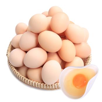 白荡里 小枞农家散养土鸡蛋笨鸡蛋 40枚