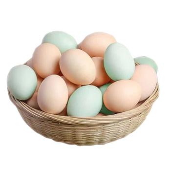 白荡里 土鸡蛋20枚+乌鸡蛋20枚 共40枚