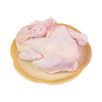 田园居 林下散养500天 黑凤 贵妃老母鸡 2-2.5斤/只