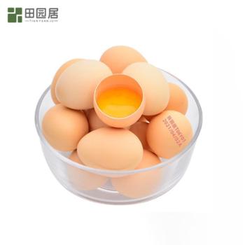 田园居 皖北谷物喂养无菌大蛋黄鲜鸡蛋 多规格