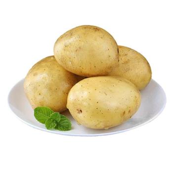 陇藓芽 定西小土豆 共5斤 50-100g/单颗