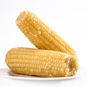 【谷芯源】 白糯玉米 10穗