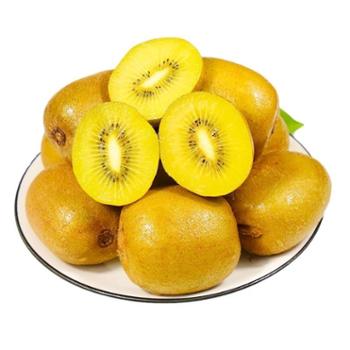 微徕福&nbsp;黄心猕猴桃大果&nbsp;单果90-110g&nbsp;12枚（2.4斤左右）