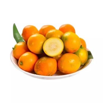 微徕福 广西融安金桔 多规格