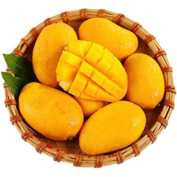 微徕福&nbsp;小台农芒果&nbsp;皮薄核小爆甜多汁&nbsp;5斤中大果（单果80G以上）