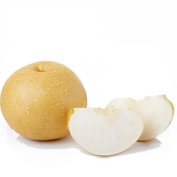 微徕福&nbsp;脆甜秋月梨&nbsp;单果80-85mm&nbsp;带箱9斤