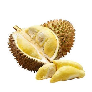 微徕福 新鲜金枕榴莲 包4房 1个（净重4-7斤）