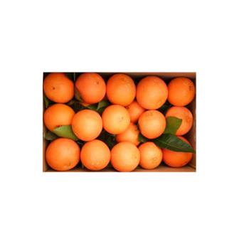 奉节脐橙 重庆特产 奉节脐橙（70-80MM) 20斤/箱