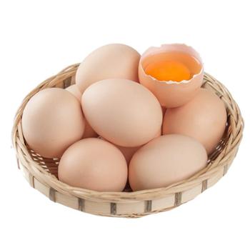 食果源 农家现捡鲜鸡蛋 50枚装单枚40g起