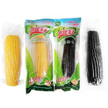 银鹤 东北寒地有机甜糯玉米棒 黄/黑组合装 东北粘玉米棒 大棒彩袋装 8穗/箱