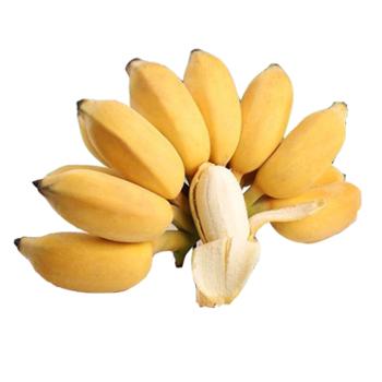 光速有个超市&nbsp;苹果蕉&nbsp;带箱5斤*1（单果约100g左右）