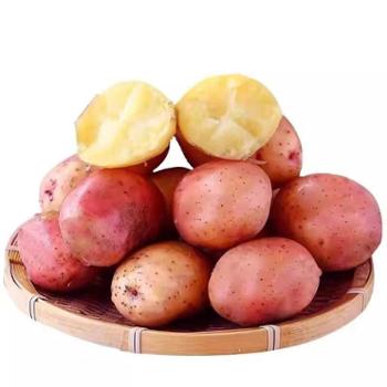 光速有个超市 云南红皮黄心土豆 约8斤（中大果1斤4-5个)