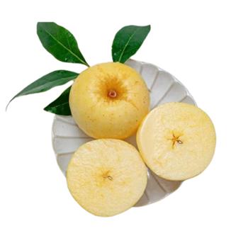 维纳斯&nbsp;黄金苹果4.5-5斤中果13-15个&nbsp;（单果约150g-175g左右）