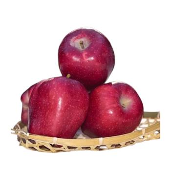 天水&nbsp;花牛苹果5斤大果约12个左右&nbsp;（单果约208g左右）