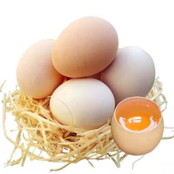 鑫鲜聚 农家山林散养 新鲜鸡蛋 10枚（单枚约50g） 总重约500g