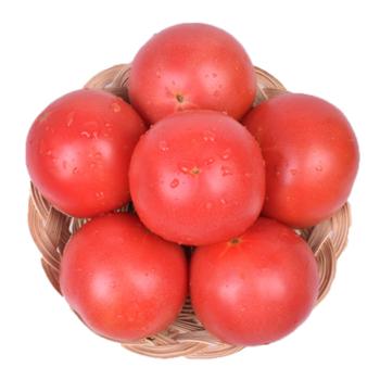鑫鲜聚 普罗旺斯西红柿 彩箱装4.5斤（9-12个）