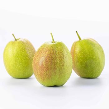 水晶宝 新香梨 精品大果净重4.2斤 单果重150克以上