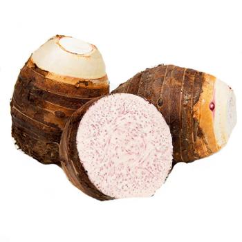 农源贡 广西荔浦芋头大果 5斤