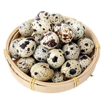 乐府木兰&nbsp;农家散养新鲜鹌鹑蛋&nbsp;25颗/50颗/100颗