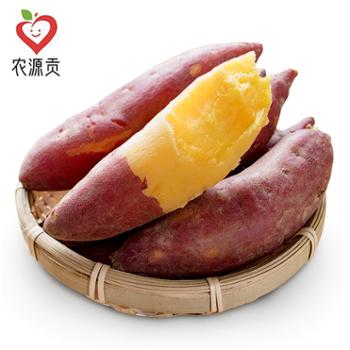 农源贡 开封兰考沙地黄心龙九蛋黄蜜薯红薯 3斤装/5斤装 单果150g以上