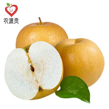 农源贡 新鲜秋月梨当季现摘现发 净重4.5斤/7.5斤装 单果250g+ 礼盒包装 中秋送礼佳品