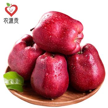 农源贡&nbsp;天水花牛苹果&nbsp;礼盒装&nbsp;净重4.5斤/8斤&nbsp;单果70-85mm+