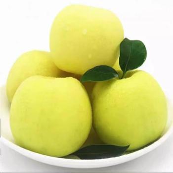 晁牌 瑞雪苹果 9枚75-80#