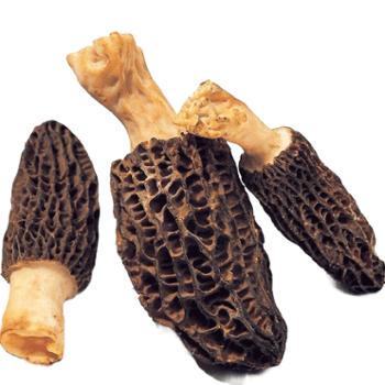 森吉尼达&nbsp;香格里拉高原特产&nbsp;羊肚菌干货&nbsp;礼盒装&nbsp;100g