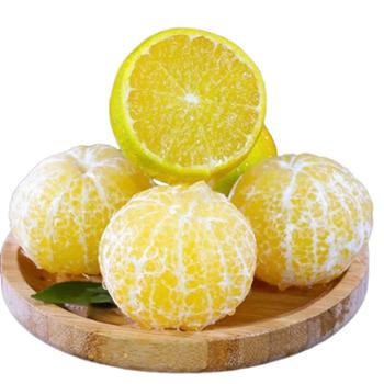 岛民有货&nbsp;广西武鸣皇帝柑中果约五斤&nbsp;（单果径约55mm-60mm）