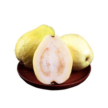 黄金&nbsp;奶油芭乐约3斤（约10个&nbsp;左右单果约140-150g左右）