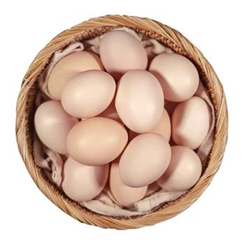 夔安山野 新鲜柴鸡蛋 20枚/盒 五谷蛋 谷物饲养