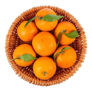 夔安山野 奉节脐橙 5斤彩箱装 70-80mm 新鲜水果