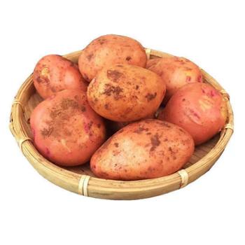 鲜果果 云南红皮黄心小土豆 3斤装（1斤约5-7个）