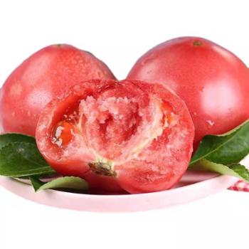 鲜果果 普罗旺斯沙瓤西红柿 4.5斤装（9-16个）