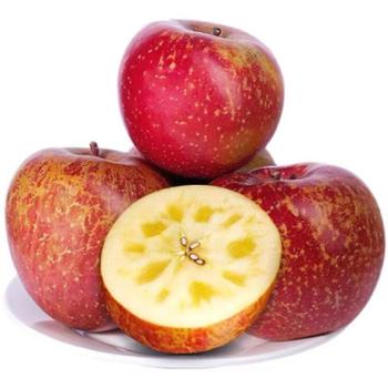 鲜果果 云南昭通红露苹果糖心丑苹果 9斤装/箱 单果70-85mm