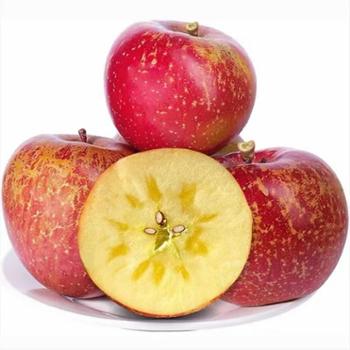 鲜果果 云南昭通高山脆甜丑苹果 5斤/9斤装 单果60-85mm