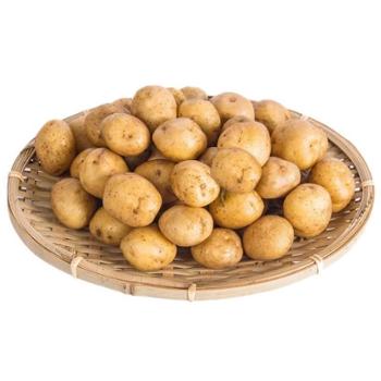 鲜进生 新鲜应季高山老品种黄心马尔科小土豆 5斤（硬币大小）