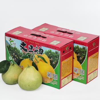 仙溪 仙游度尾文旦柚 精选礼盒装6个 八一场40年老树